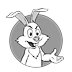 BB_interview_hare.png