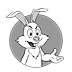 BB_interview_hare.png